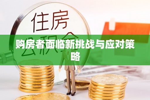 新罗购房者面临新挑战与应对策略