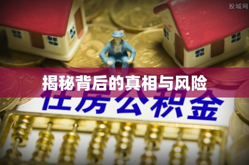 新罗揭秘背后的真相与风险