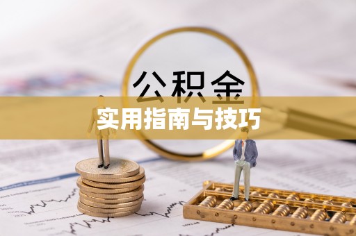 新罗实用指南与技巧