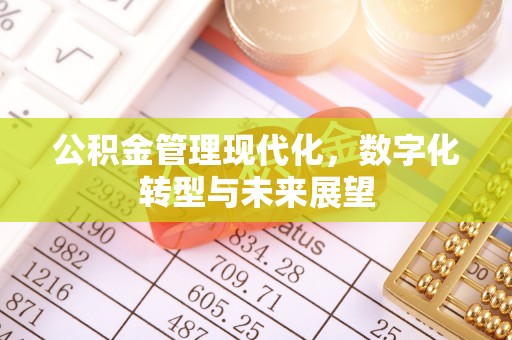 新罗公积金管理现代化，数字化转型与未来展望