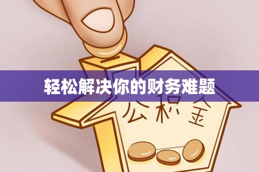 新罗轻松解决你的财务难题