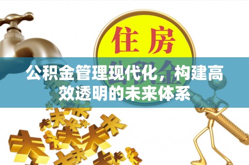 新罗公积金管理现代化，构建高效透明的未来体系
