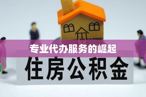 新罗专业代办服务的崛起
