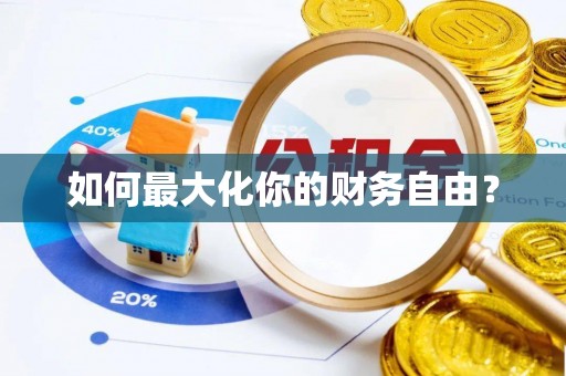 新罗如何最大化你的财务自由？