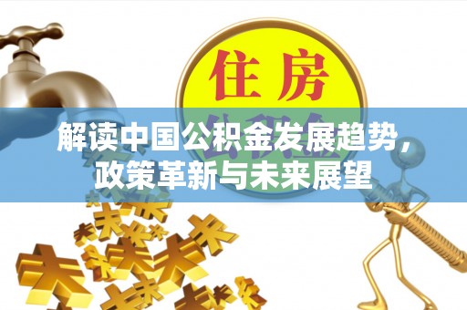 新罗解读中国公积金发展趋势，政策革新与未来展望