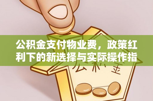 新罗公积金支付物业费，政策红利下的新选择与实际操作指南