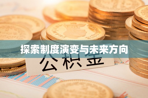 新罗探索制度演变与未来方向