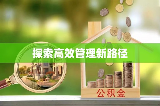 新罗探索高效管理新路径