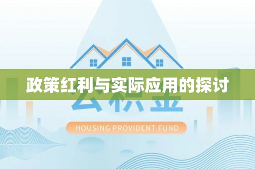 新罗政策红利与实际应用的探讨