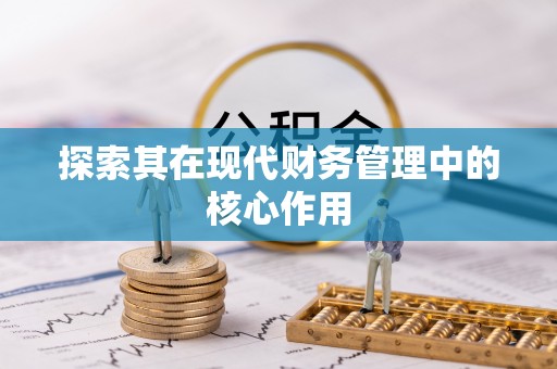 新罗探索其在现代财务管理中的核心作用