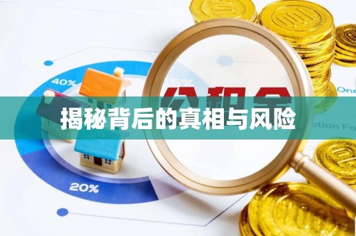 新罗揭秘背后的真相与风险