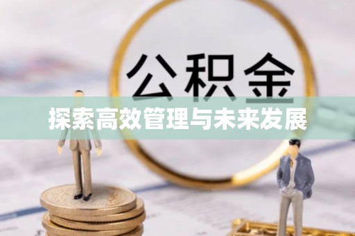 新罗探索高效管理与未来发展