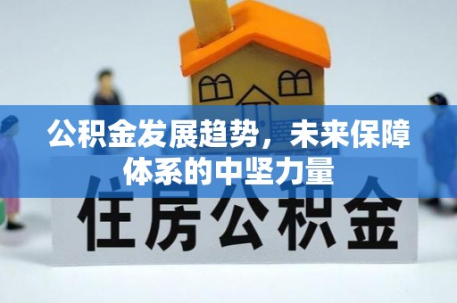 新罗公积金发展趋势，未来保障体系的中坚力量