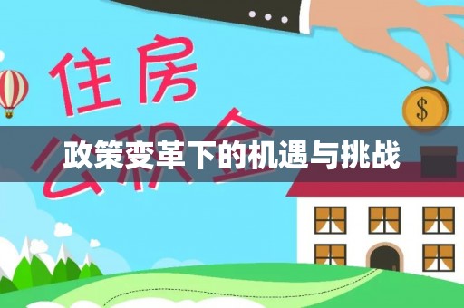 新罗政策变革下的机遇与挑战