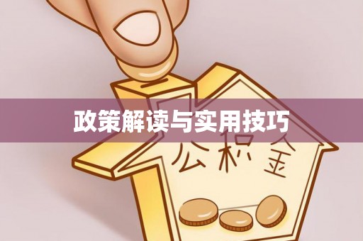 新罗政策解读与实用技巧
