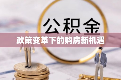 新罗政策变革下的购房新机遇