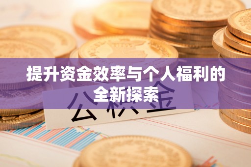 新罗提升资金效率与个人福利的全新探索