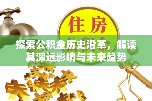 新罗探索公积金历史沿革，解读其深远影响与未来趋势