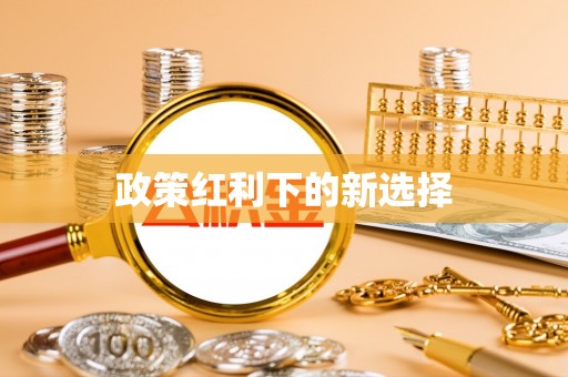 新罗政策红利下的新选择