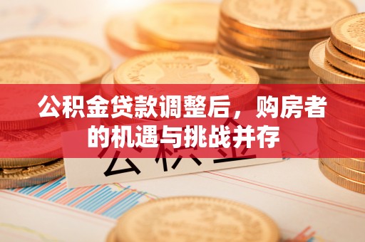 新罗公积金贷款调整后，购房者的机遇与挑战并存