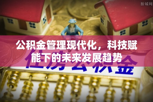 新罗公积金管理现代化，科技赋能下的未来发展趋势