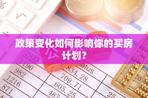新罗政策变化如何影响你的买房计划？