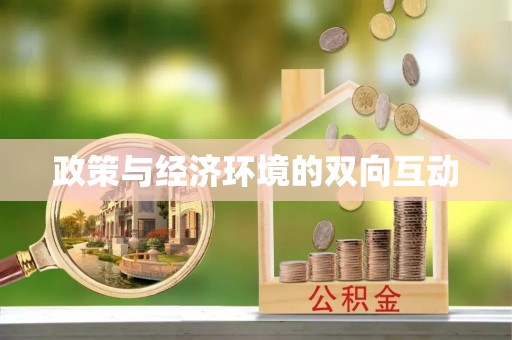 新罗政策与经济环境的双向互动