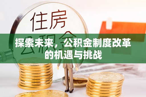 新罗探索未来，公积金制度改革的机遇与挑战