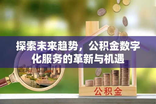 新罗探索未来趋势，公积金数字化服务的革新与机遇