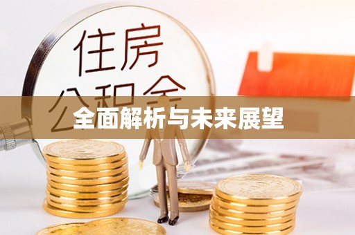 新罗全面解析与未来展望