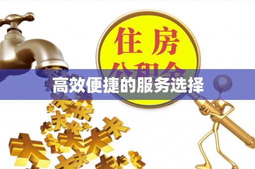 新罗高效便捷的服务选择